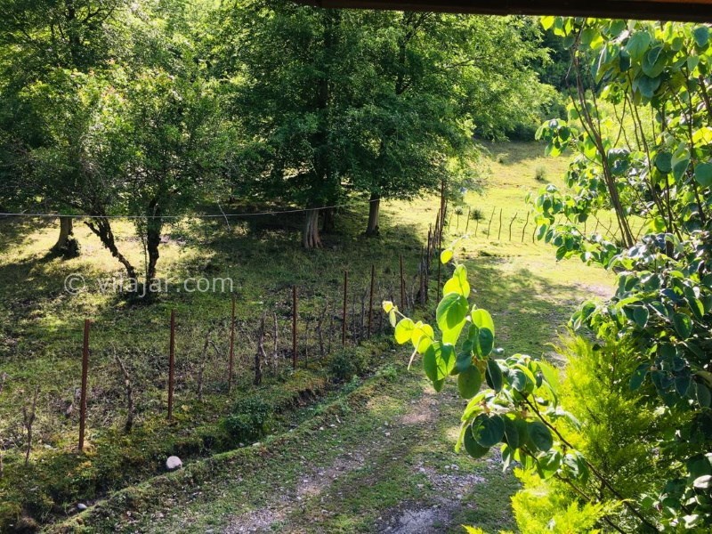 عکس شماره 817535 - اجاره ویلا چوبی جنگلی ماسال - 