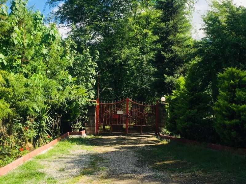 عکس شماره 817537 - اجاره ویلا چوبی جنگلی ماسال - 