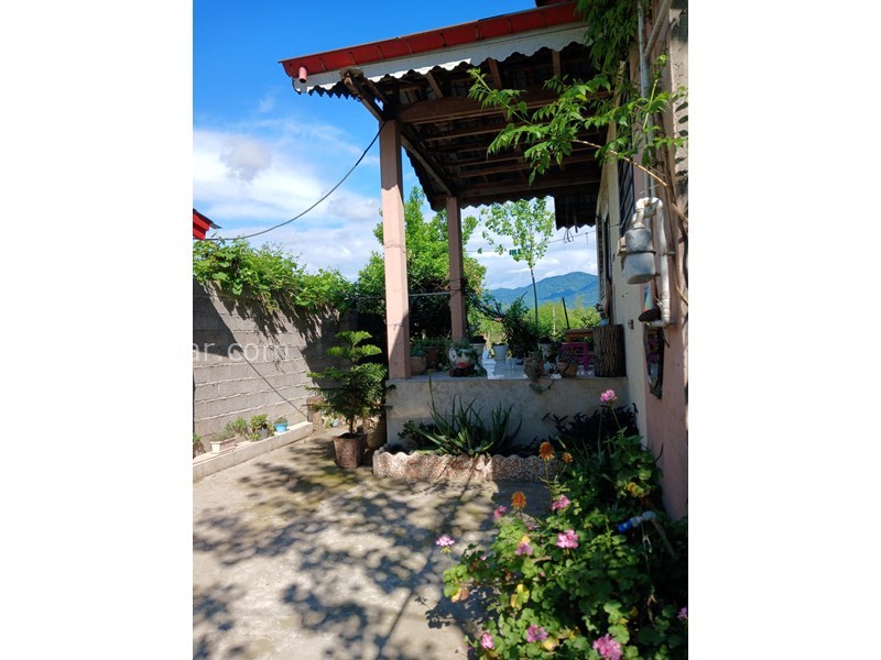 عکس شماره 817619 - اجاره ویلا در سراوان رشت - حیاط