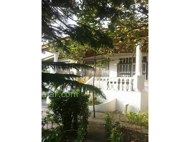 عکس شماره 81767 - رزرو ویلا نزدیک نمک آبرود - 