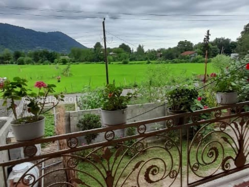 عکس شماره 817805 - اجاره ویلا جنگلی در ماسال -