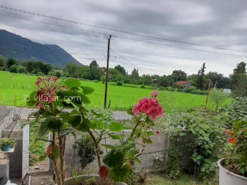 عکس شماره 817814 - اجاره ویلا جنگلی در ماسال -