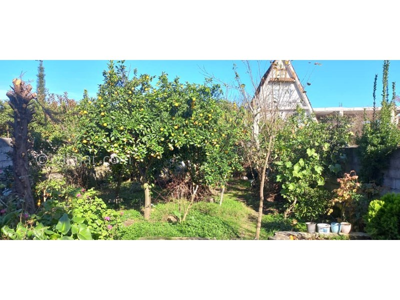 عکس شماره 817831 - اجاره ویلا در رامسر - 