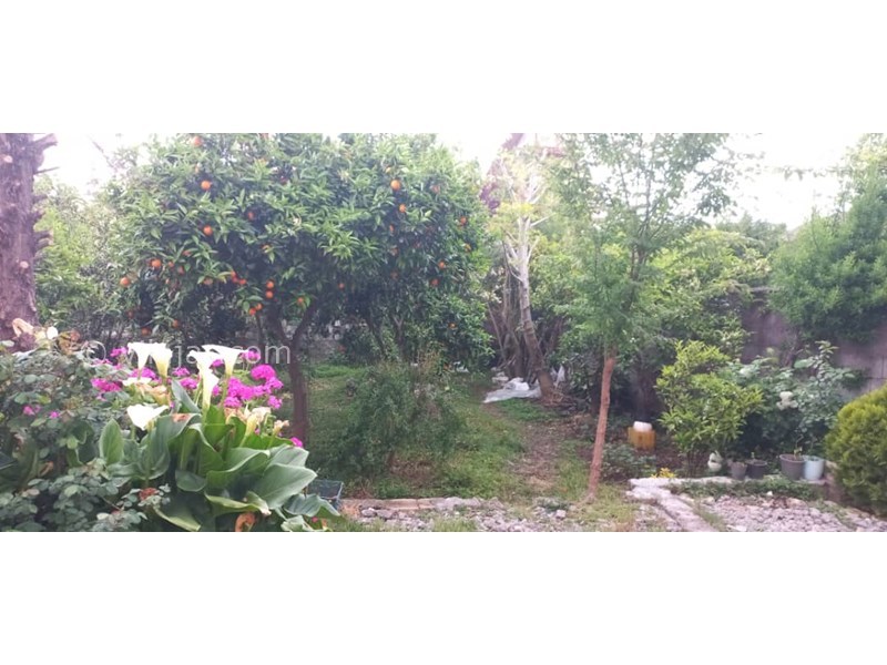 عکس شماره 817840 - اجاره ویلا در رامسر - 