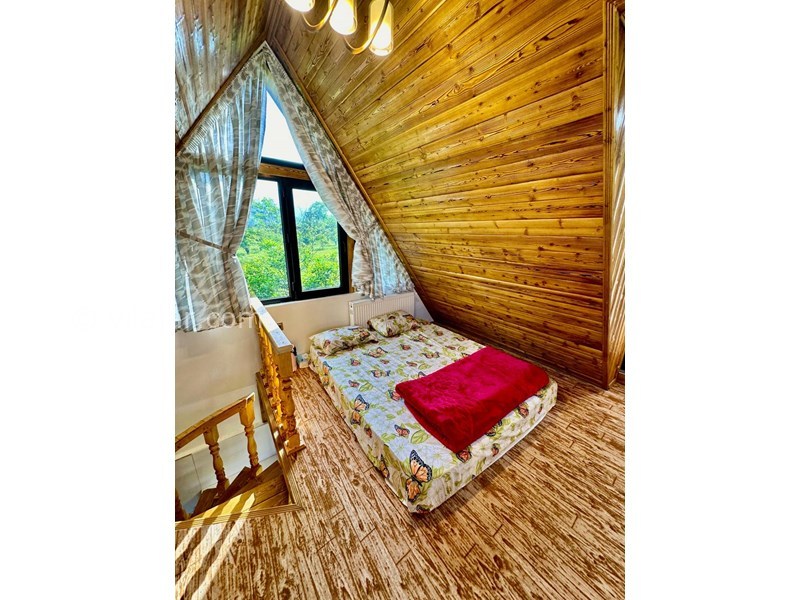 عکس شماره 818056 - کلبه چوبی با استخر و جکوزی رامسر - 