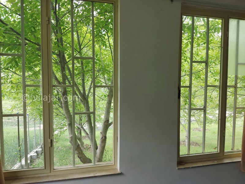 عکس شماره 818155 - اجاره اقامتگاه جنگلی پل سفید - 