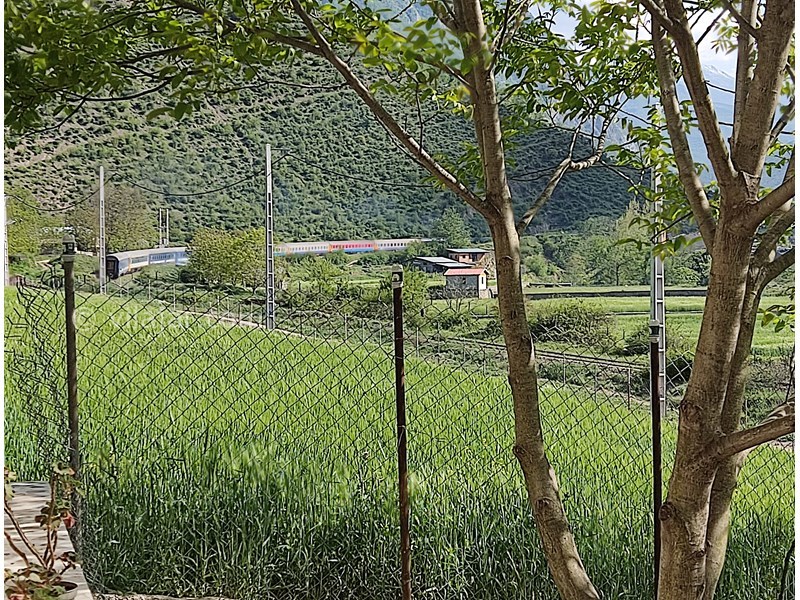 عکس شماره 818163 - اجاره اقامتگاه جنگلی پل سفید - 