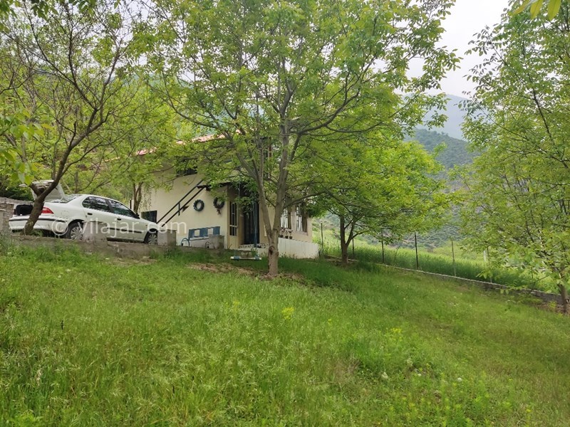 عکس شماره 818164 - اجاره اقامتگاه جنگلی پل سفید - 