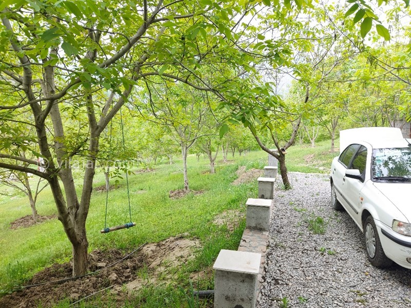 عکس شماره 818166 - اجاره اقامتگاه جنگلی پل سفید - حیاط