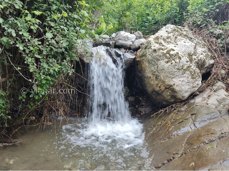 عکس شماره 818168 - اجاره اقامتگاه جنگلی پل سفید - رودخانه کنار باغ