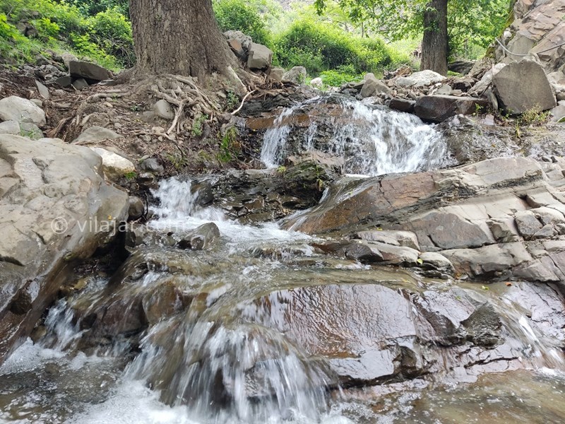 عکس شماره 818169 - اجاره اقامتگاه جنگلی پل سفید - رودخانه کنار باغ