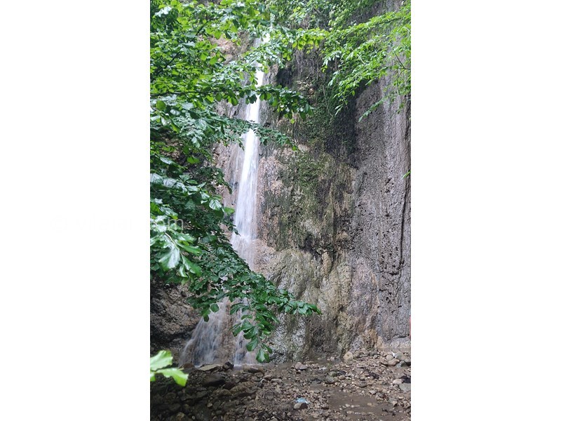 عکس شماره 818170 - اجاره اقامتگاه جنگلی پل سفید - آبشار نزدیک باغ