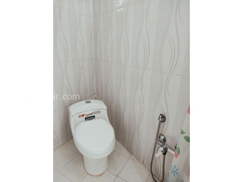 عکس شماره 818186 - اجاره ویلا در رشت - 