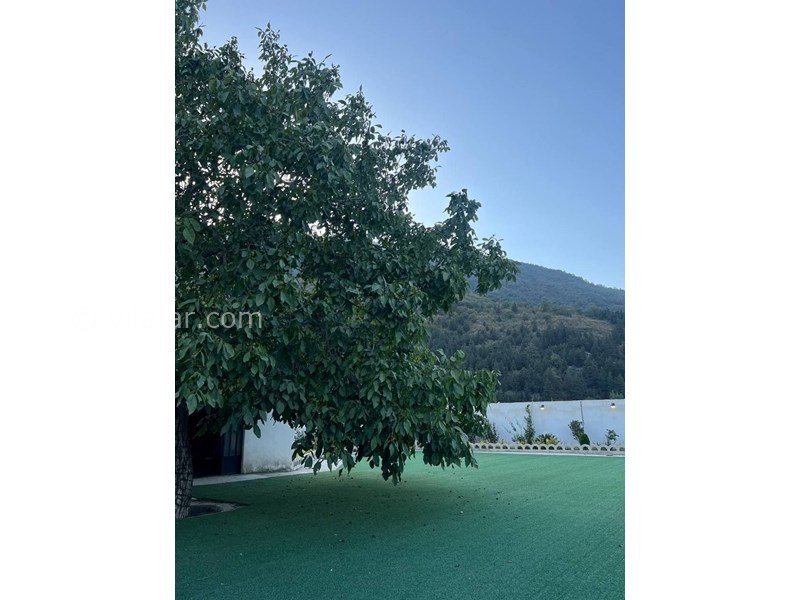 عکس شماره 818350 - اجاره ویلا جنگلی در رامیان -