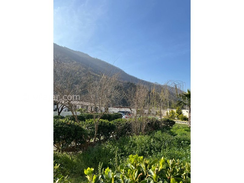 عکس شماره 818352 - اجاره ویلا جنگلی در رامیان -