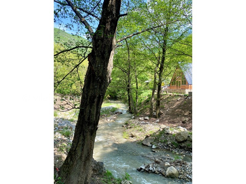 عکس شماره 819256 - کلبه چوبی جنگلی پل سفید سوادکوه - 