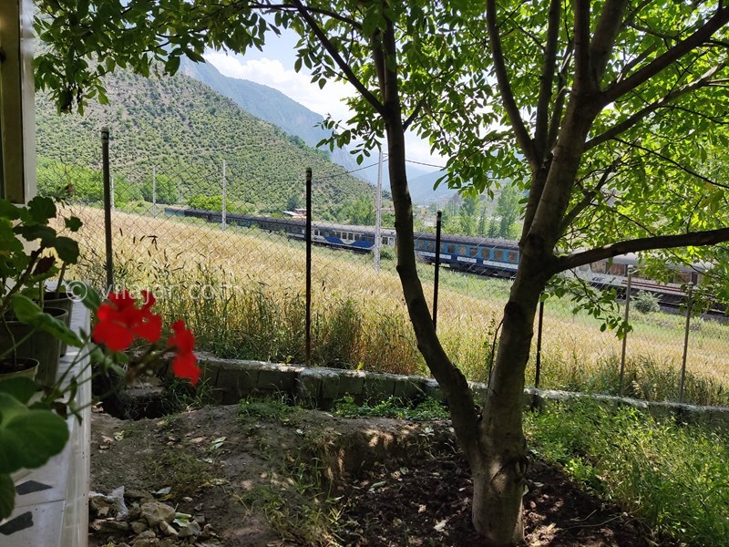 عکس شماره 819570 - اجاره اقامتگاه جنگلی پل سفید - نمای بیرون باغ