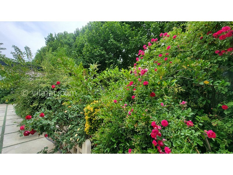 عکس شماره 819654 - ویلا با استخر سرپوشیده نزدیک کردان - 