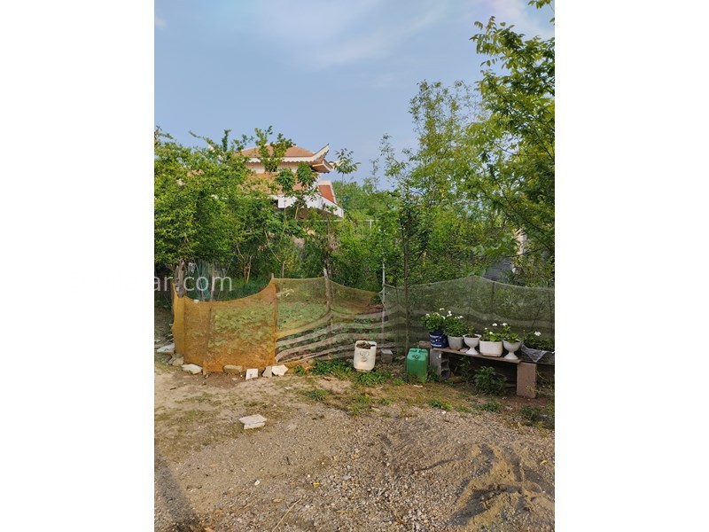 عکس شماره 819907 - اجاره اقامتگاه جنگلی سراوان رشت - 