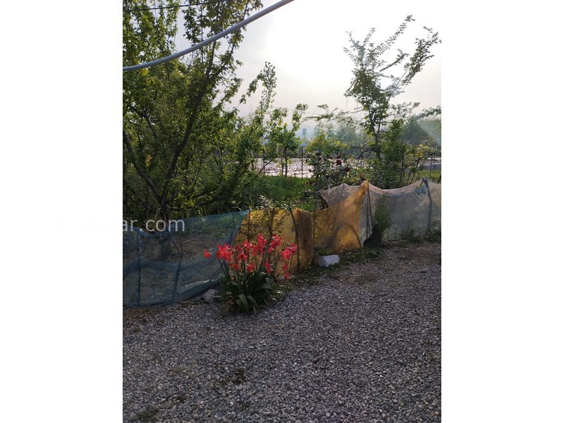 عکس شماره 819909 - اجاره اقامتگاه جنگلی سراوان رشت - 