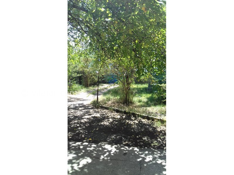 عکس شماره 820047 - رزرو ویلای ساحلی دربست در چابکسر - حیاط ویلا