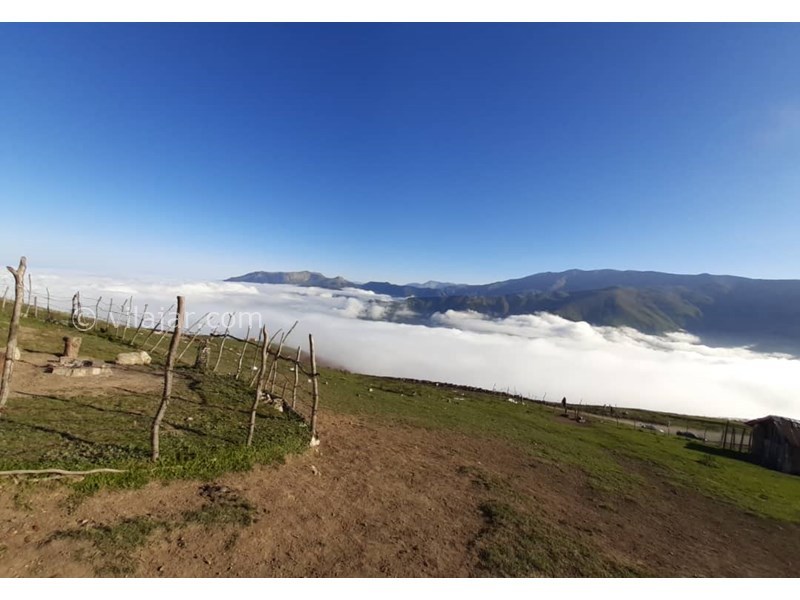 عکس شماره 820139 - اجاره کلبه چوبی در اولسبلنگاه ماسال - 