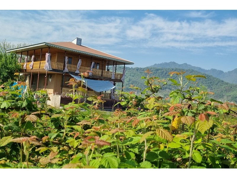 عکس شماره 820244 - اجاره ویلا جنگلی در ماسال - 