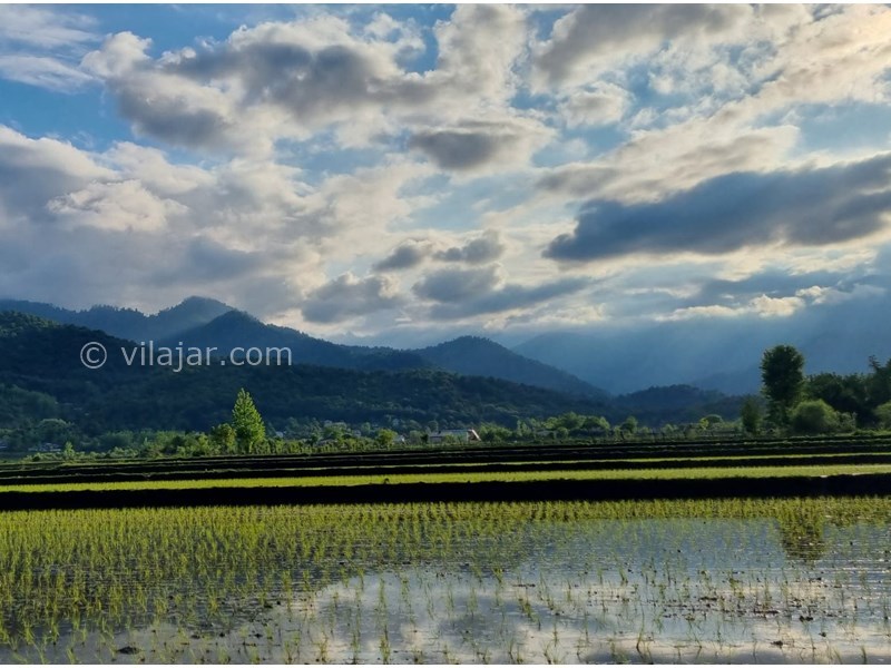 عکس شماره 820250 - اجاره ویلا جنگلی در ماسال - 