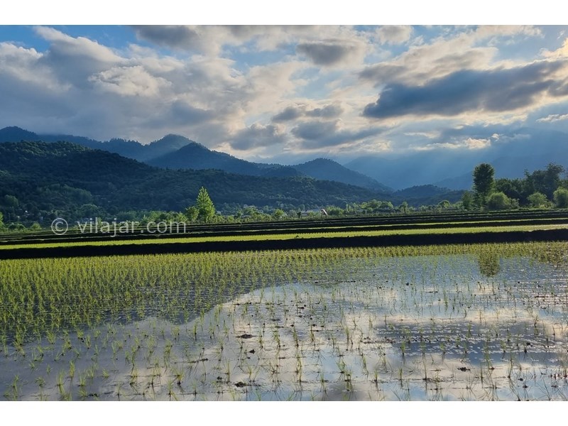 عکس شماره 820251 - اجاره ویلا جنگلی در ماسال - 