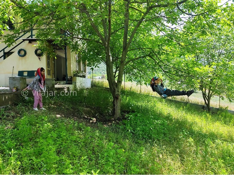 عکس شماره 820360 - اجاره اقامتگاه جنگلی پل سفید - تاب بازی 