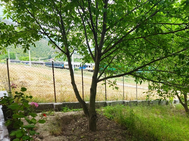 عکس شماره 820365 - اجاره اقامتگاه جنگلی پل سفید - عبور قطار از روبروی اقامتگاه