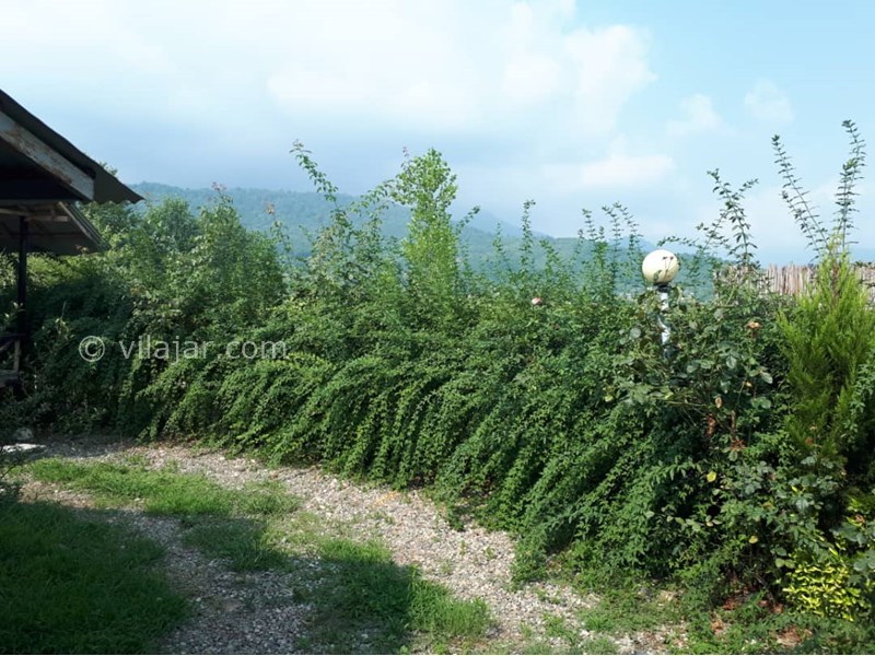 عکس شماره 820446 - اجاره کلبه چوبی جنگلی ماسال - 