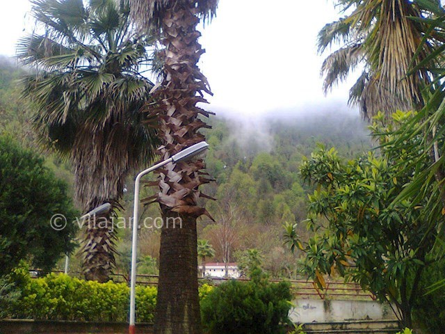 عکس شماره 82053 - اجاره آپارتمان در نمک آبرود -