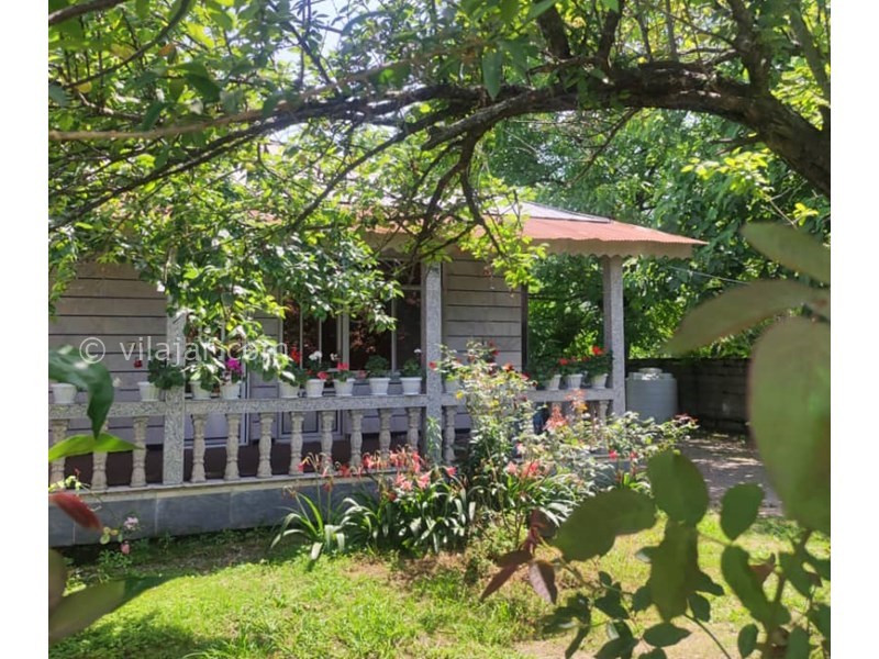 عکس شماره 820638 - اجاره ویلا جنگلی در ماسال -