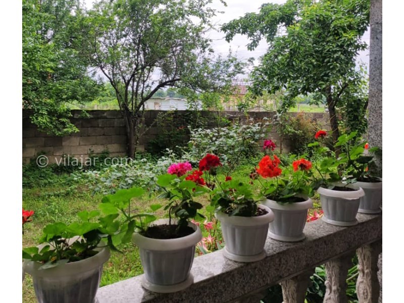 عکس شماره 820645 - اجاره ویلا جنگلی در ماسال -