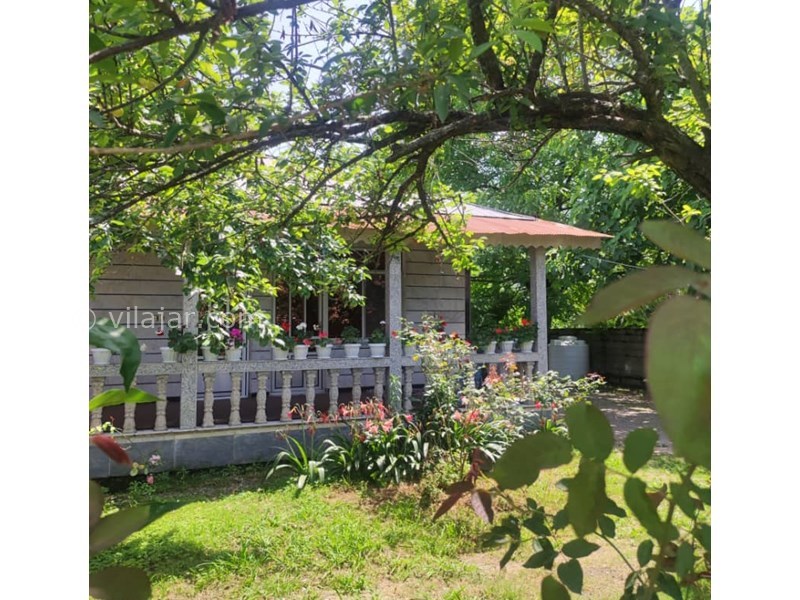 عکس شماره 820647 - اجاره ویلا جنگلی در ماسال -