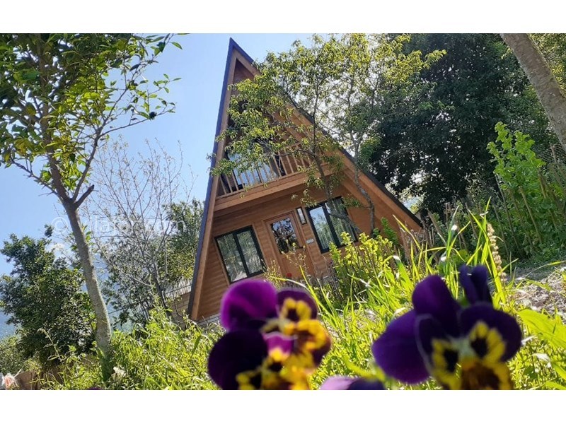 عکس شماره 821904 - اجاره کلبه چوبی سوییسی ماسال -