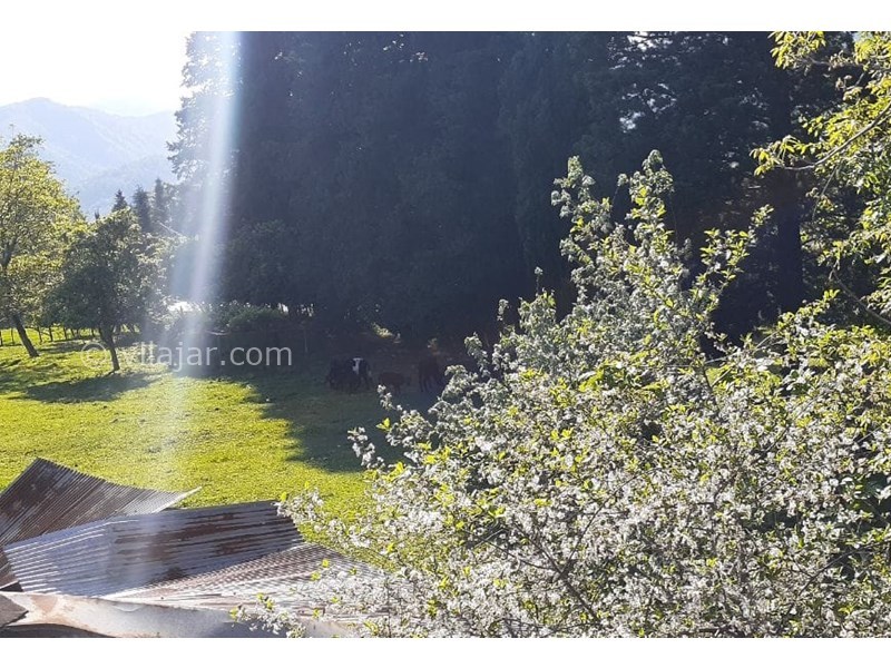 عکس شماره 821910 - اجاره کلبه چوبی سوییسی ماسال -