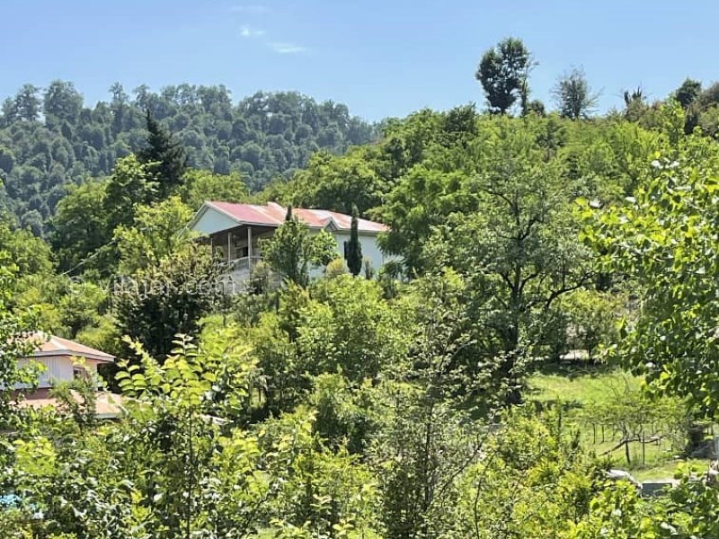 عکس شماره 822092 - رزرو ویلا جنگلی در ماسال شاندرمن - 