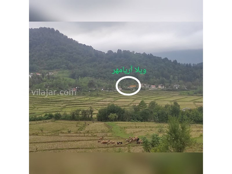 عکس شماره 822651 - اجاره اقامتگاه در ماسال - چشم انداز ویلا از وسط شالیزار