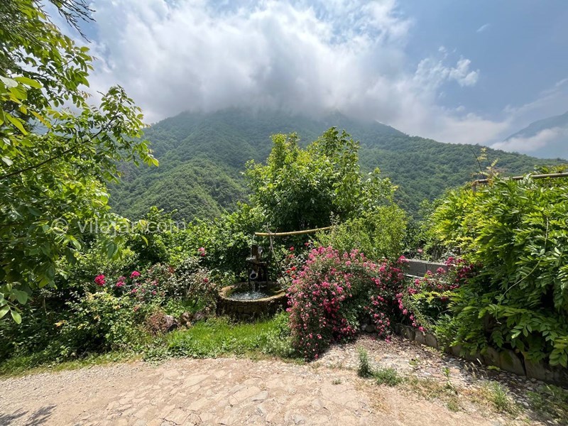 عکس شماره 823043 - ویلا ییلاقی جنگلی در جاده دوهزار -