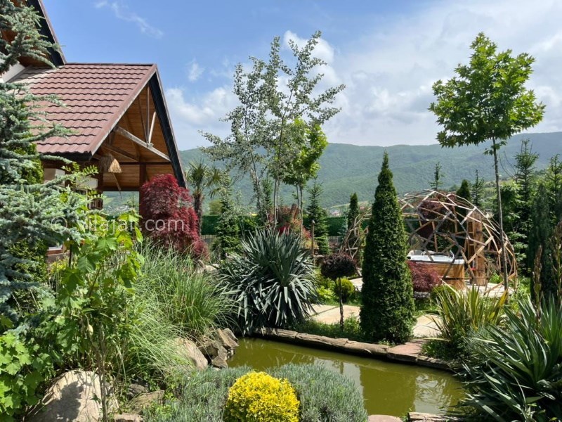 عکس شماره 823149 - ویلا با استخر و جکوزی کلاردشت - 