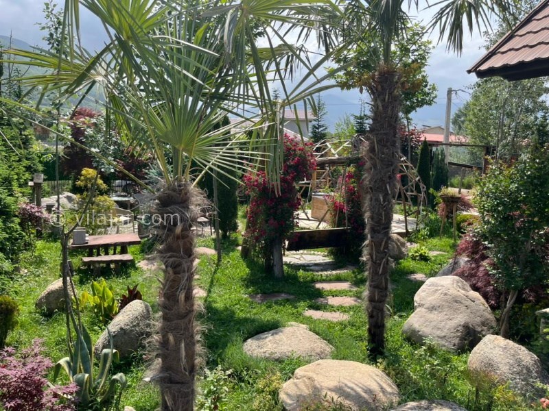 عکس شماره 823152 - ویلا با استخر و جکوزی کلاردشت - 