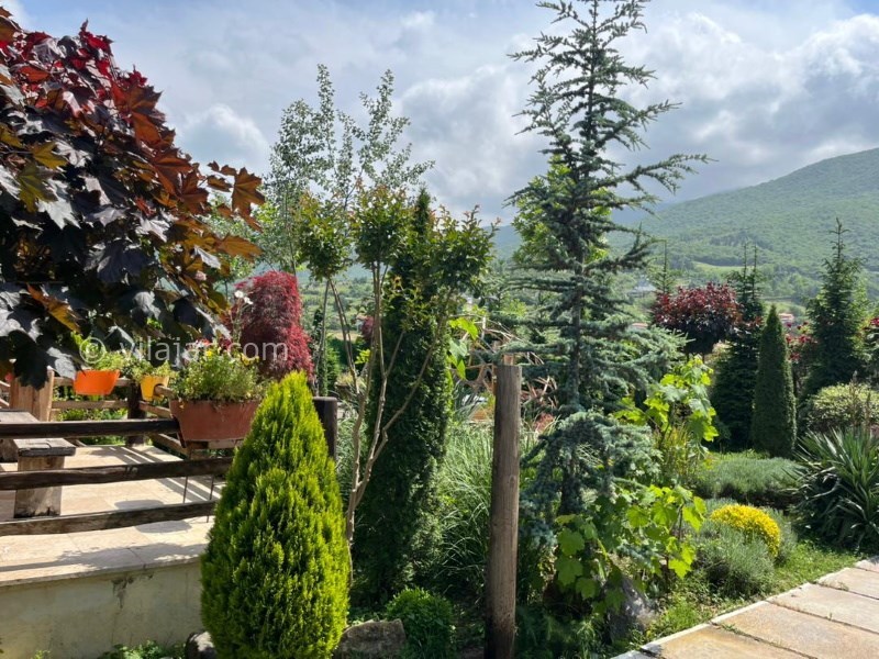 عکس شماره 823165 - ویلا با استخر و جکوزی کلاردشت - 