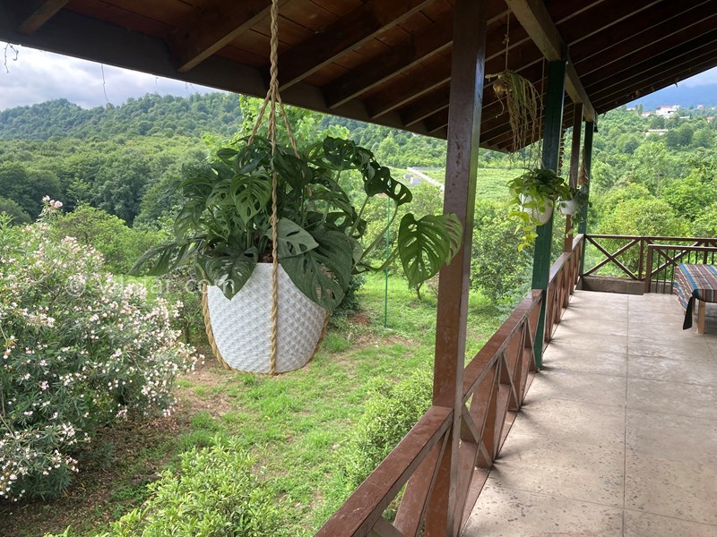 عکس شماره 823818 - اجاره اقامتگاه روستایی در نشتارود - 