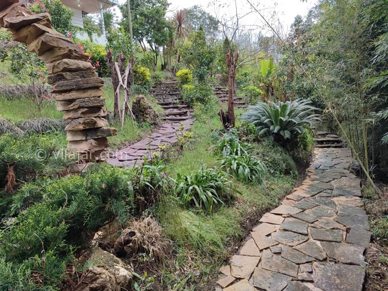 عکس شماره 824477 - ویلای گل شمعدانی رامسر با استخر - 