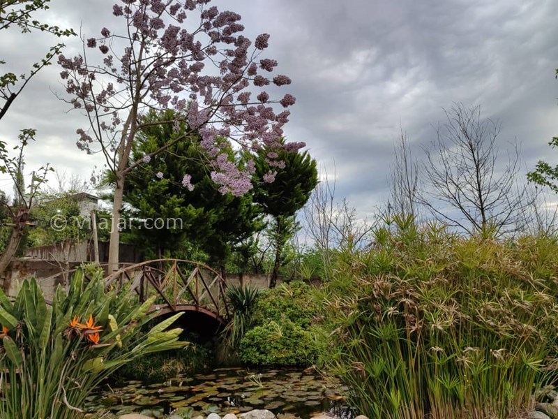 عکس شماره 824478 - ویلای گل شمعدانی رامسر با استخر - 