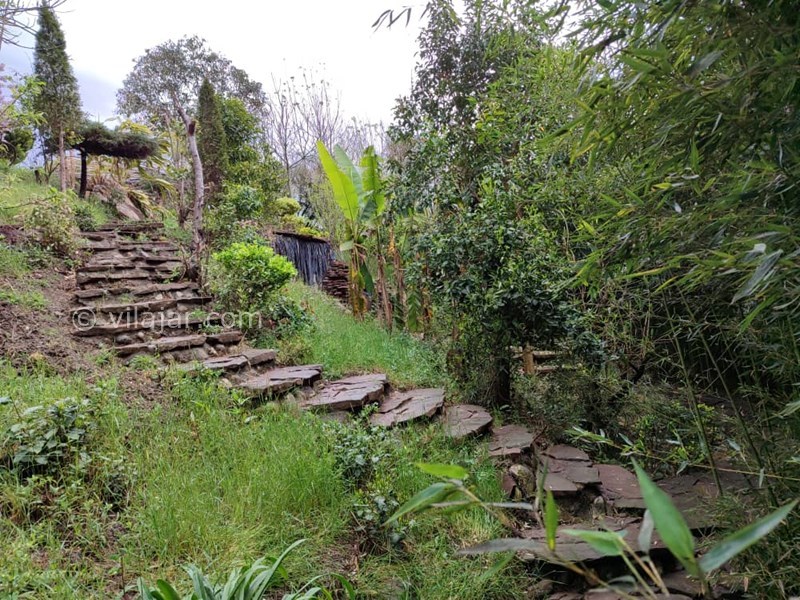 عکس شماره 824487 - ویلای گل شمعدانی رامسر با استخر - 