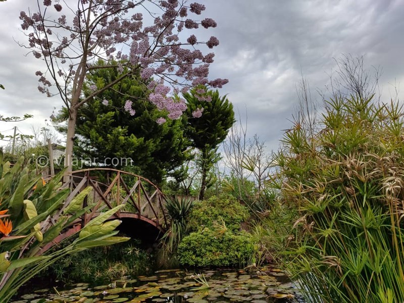 عکس شماره 824489 - ویلای گل شمعدانی رامسر با استخر - 