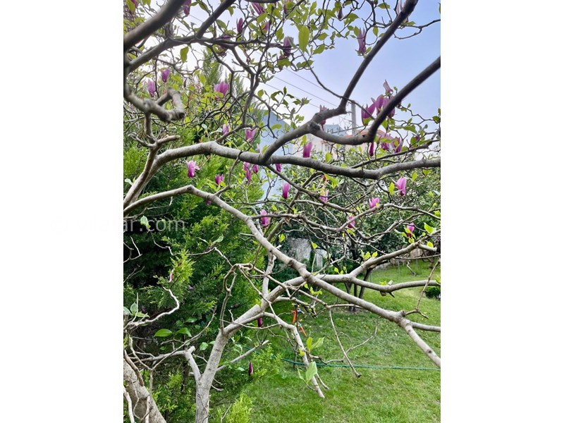 عکس شماره 824777 - اجاره ویلا در دهکده ساحلی انزلی - 